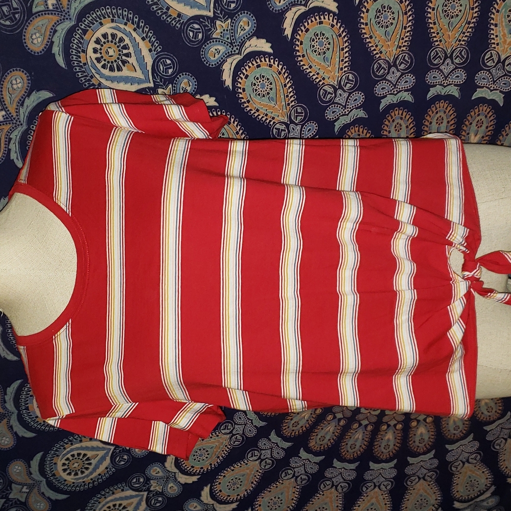 2 XL tops, American Eagle and wild fable